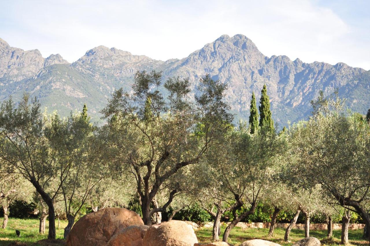 Domaine Codaleone Serriera  Esterno foto