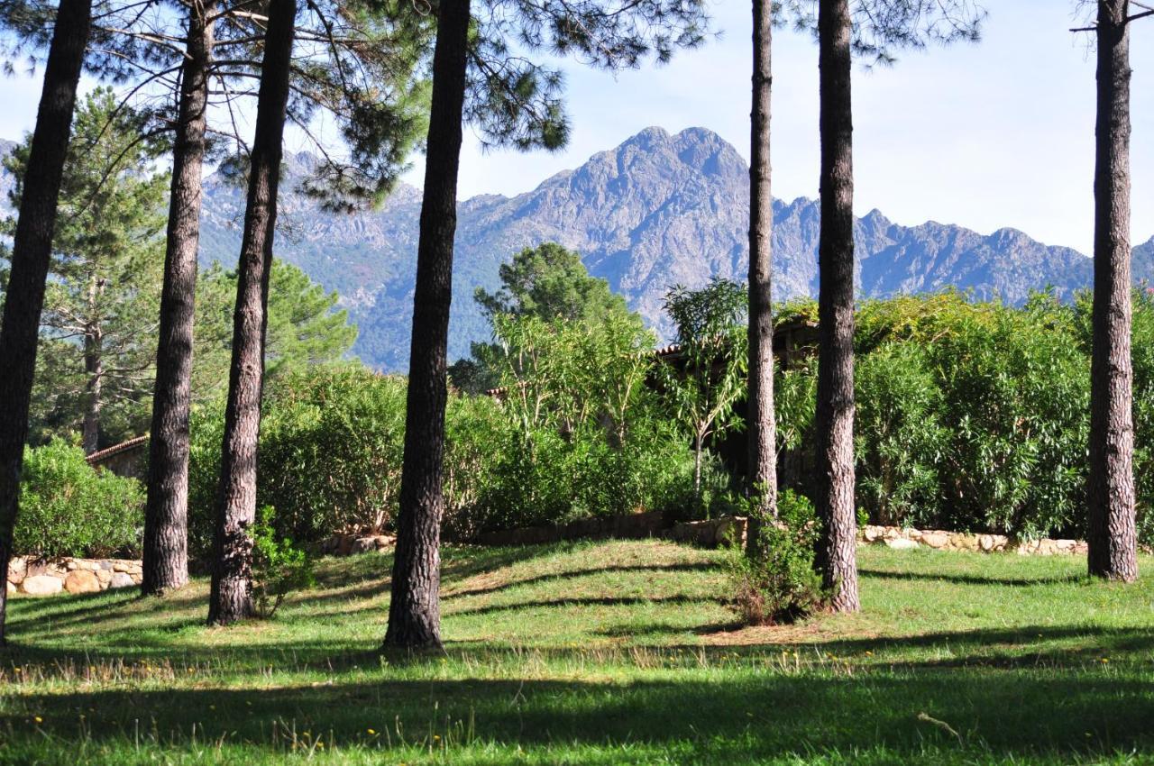 Domaine Codaleone Serriera  Esterno foto