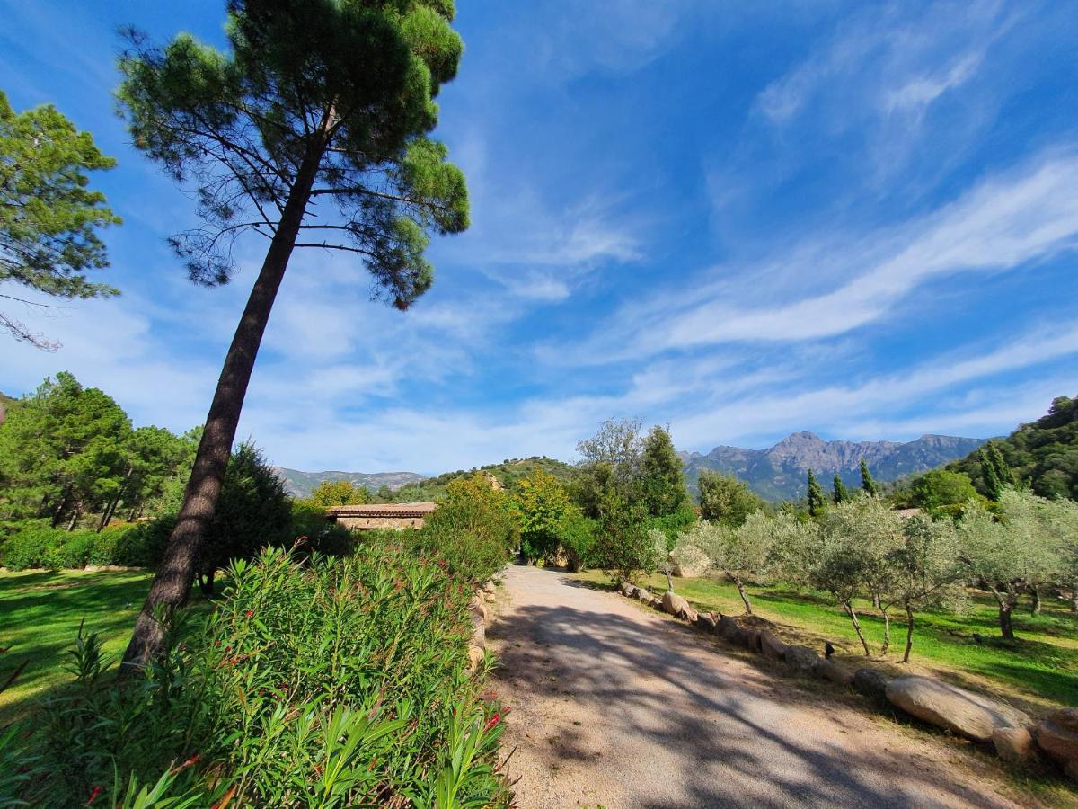 Domaine Codaleone Serriera  Esterno foto