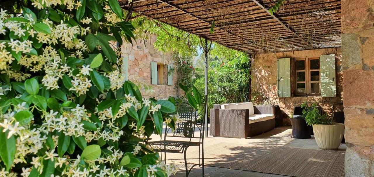 Domaine Codaleone Serriera  Esterno foto