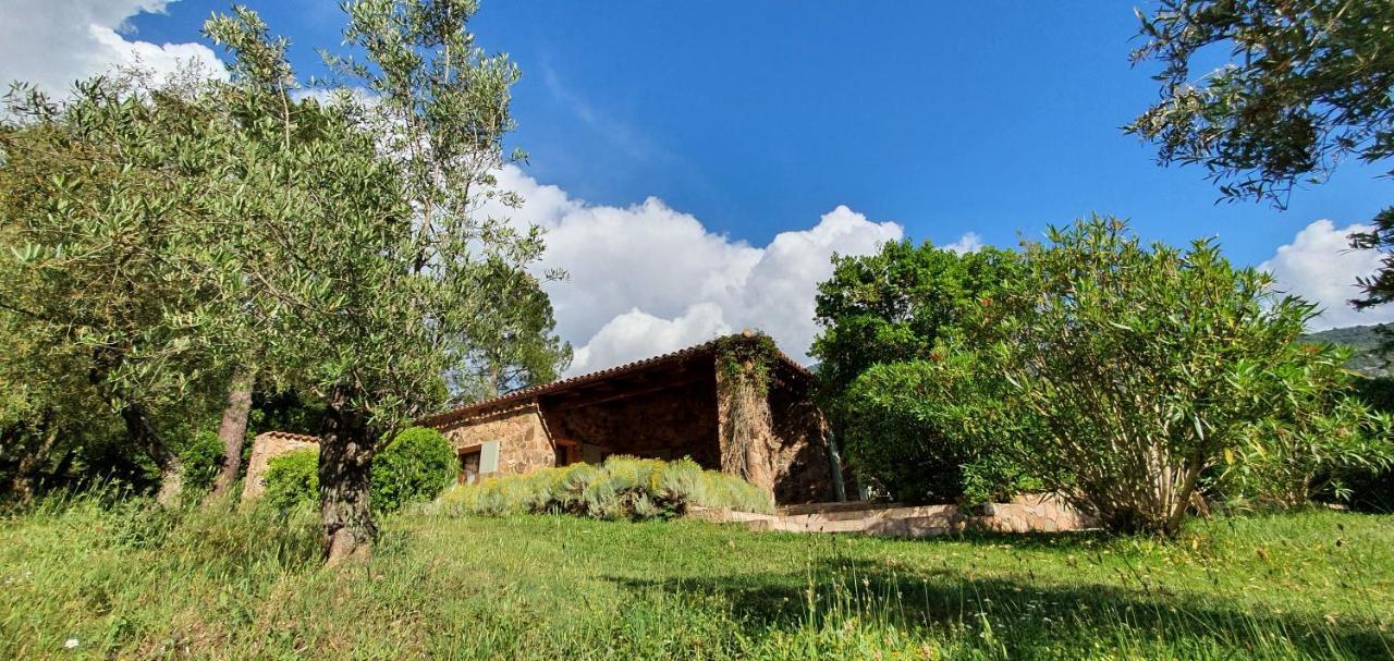 Domaine Codaleone Serriera  Esterno foto