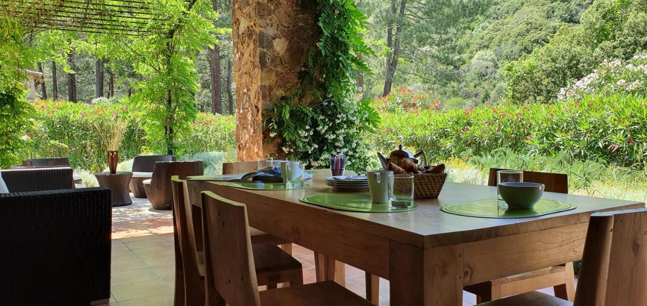 Domaine Codaleone Serriera  Esterno foto